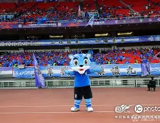 乐鱼中国官网-直播武汉三镇